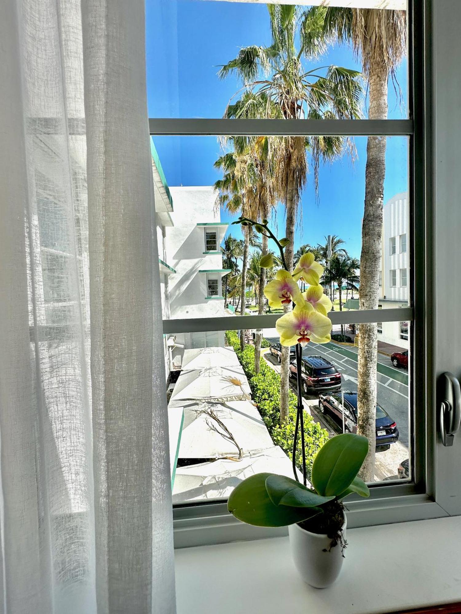 Avalon Hotel Miami Beach Exterior photo